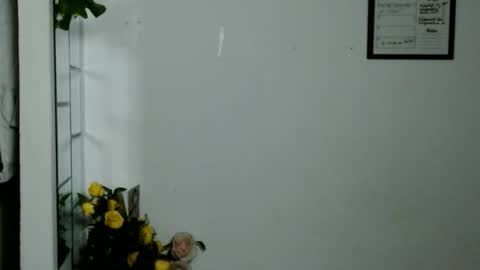 Karoll online show from November 11, 2:07 am