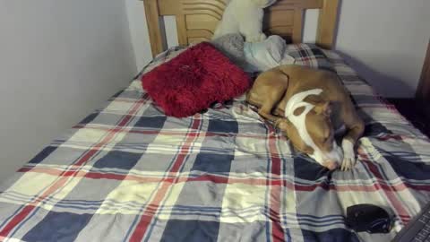 Akyra  online show from November 18, 3:13 pm