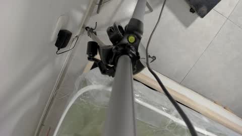 Laurem online show from February 16, 6:41 pm