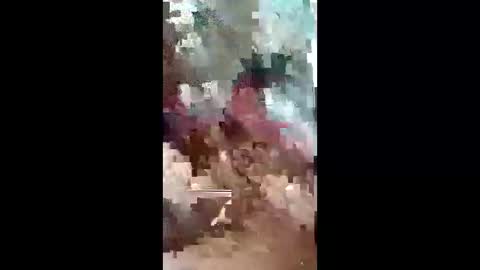 leedyamond online show from May 12, 2:46 pm