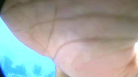 leeromi online show from February 14, 11:23 am