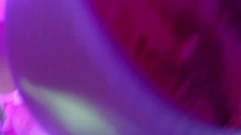 Leysun7 online show from February 14, 2:18 am