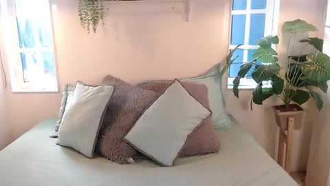 LIA online show from November 5, 2:33 pm