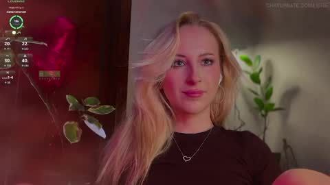  Im online every day except Saturday and Sunday somewhere between 2000 and 0300 UTC3 but its never at the same time  online show from April 10, 10:16 pm