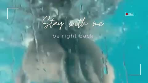 Lily online show from January 14, 9:36 am