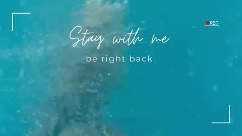 Lily online show from September 28, 7:47 am