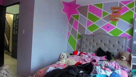 Snapshot of little_tatis chatting on September 22, 8:29 pm Im Laura. buy my contentcompra mi contenido offline  online show from September 22, 8:29 pm