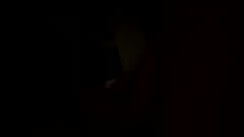 llvillasbooking online show from December 2, 11:40 pm