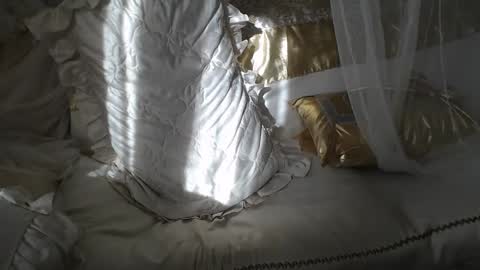 Lilu online show from October 29, 7:23 am