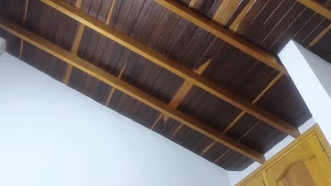 Trix online show from January 20, 11:45 am