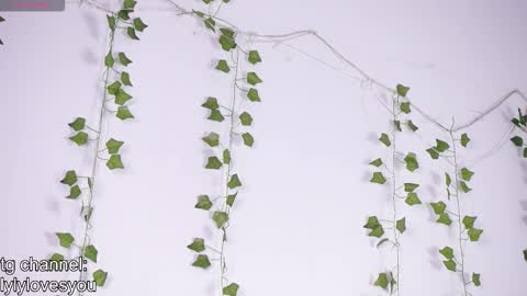 Lyly   online show from January 13, 5:46 am