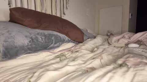 Mae Mariposa  online show from March 22, 8:42 am