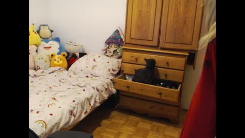 Magdalene Swaggy online show from January 6, 7:13 pm