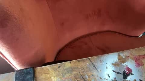 Elle online show from November 17, 9:04 pm