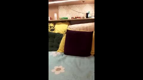 marinka_ online show from January 15, 7:20 pm