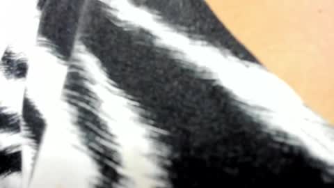 Snapshot of marylinmilf chatting on March 1, 7:48 pm Marylin online show from March 1, 7:48 pm