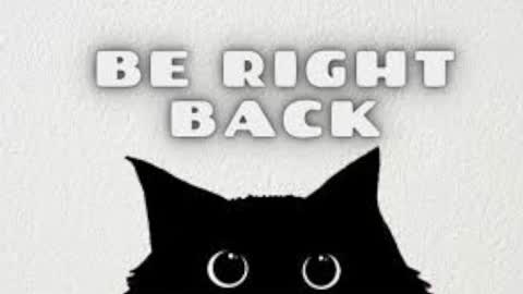 Maya online show from November 11, 4:41 am