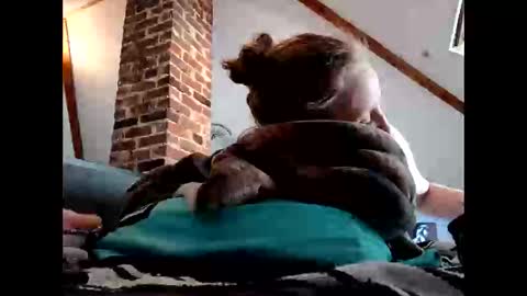 meateater7455 online show from November 28, 6:44 pm