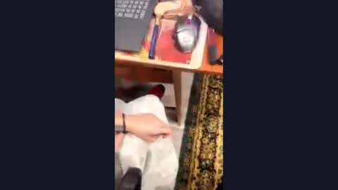 Stella online show from January 16, 5:20 pm