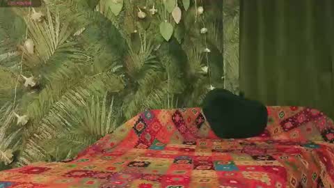 meeeewmeeeeow online show from November 29, 9:30 pm