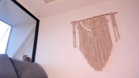 megan online show from January 3, 10:51 pm