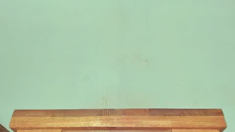 Melania online show from March 1, 6:24 am