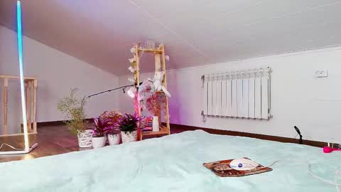 meowroslava online show from November 19, 10:37 am