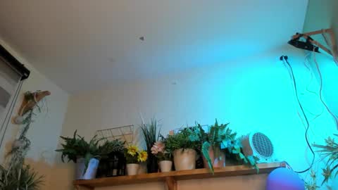 Miaa online show from March 17, 6:56 pm