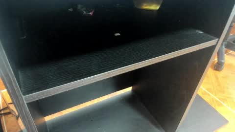 Mia online show from February 24, 11:08 am