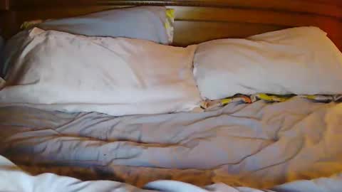 milfytitts online show from October 21, 1:37 pm