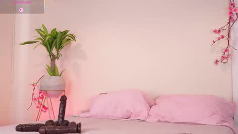    online show from February 19, 12:37 pm