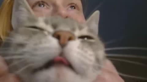 Elis online show from February 20, 2:18 pm