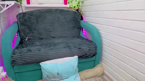 . online show from November 26, 7:42 am