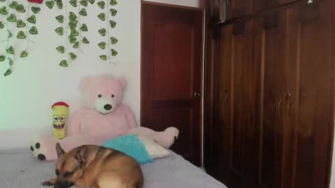 Snapshot of misstexass_ chatting on September 16, 8:28 pm Natalie Texass indepedent model online show from September 16, 8:28 pm