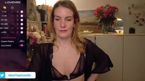 Snapshot of misstheacamille chatting on February 9, 12:40 am MissThea online show from February 9, 12:40 am