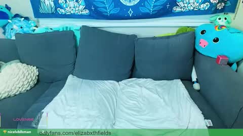 Elizabxth Fields online show from November 23, 5:54 am