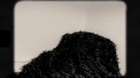 Adela Rose  MsPrissyLynx online show from October 4, 3:45 am