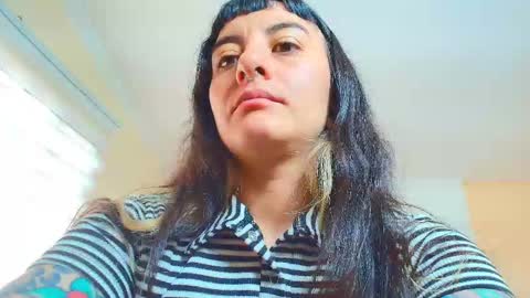 Kitten online show from December 3, 4:09 pm