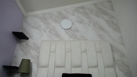 Kitten online show from February 12, 10:35 am