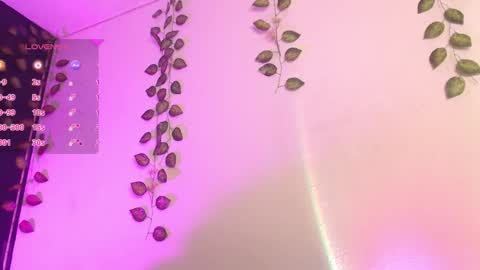  niakat  online show from December 19, 2:59 am