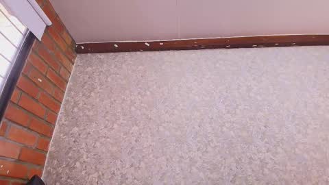 Nicol online show from November 4, 7:30 pm