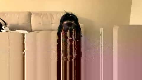 novahh_syxxx online show from February 5, 3:31 am