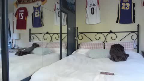 Tiffany online show from October 9, 3:49 pm