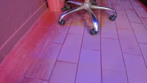   online show from March 7, 12:34 pm