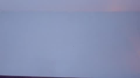 OLIVIA online show from April 7, 11:29 pm