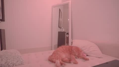 Ariel online show from October 18, 9:27 pm