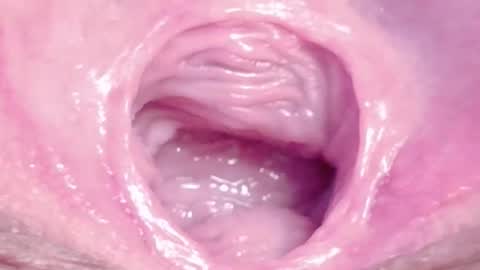 orchidekitty online show from March 5, 9:21 pm