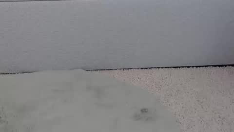 Ortensialady online show from March 1, 6:13 am