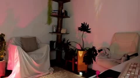    online show from February 28, 1:38 am