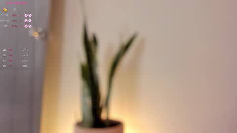 Dani online show from November 8, 6:57 pm